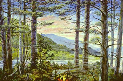 Keewaydin Campfire Repaint - fine art landscape by E. Thor Carlson