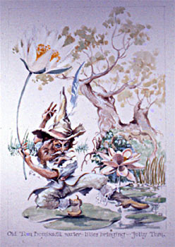 Tom Bombadil by E. Thor Carlson